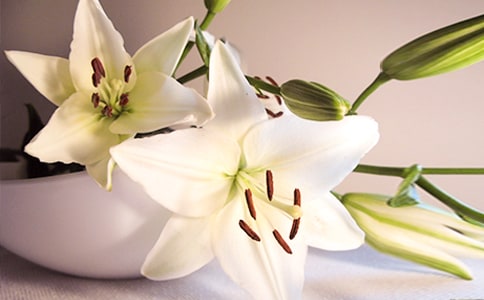 ����Ȧ��ٺϻ����f(shu��)�f(shu��)130��