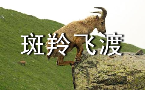 �������w�ɡ����꼉�Z���Խ̌W(xu��)�O(sh��)Ӌ(j��)