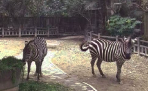 С�లȫ�̰��R·�ϵİ��R���̰�