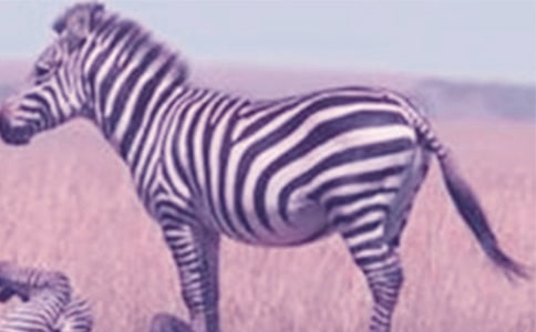 �Y׌���R������15ƪ(���A)