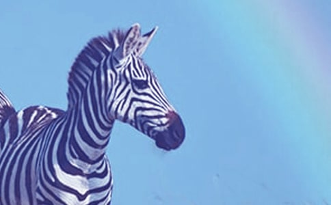 �Y׌���R������