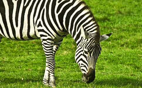 �^���R������300��