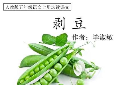 ���������̌W(xu��)��˼