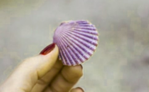 ��ʰؐ������9ƪ