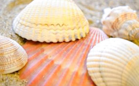 ��ؐ��δ�顷��x�𰸼���