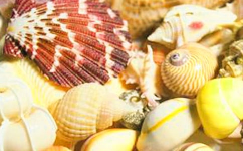 ʰؐ������300��