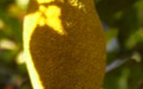 ���}����x��