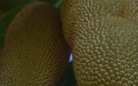 ���}������15ƪ������