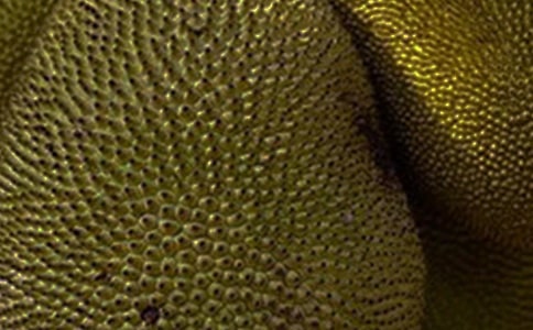 ���}�۵ĺ��ܳԆ�