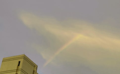 �L(f��ng)���^��Ҋ�ʺ�Ψ���İ�