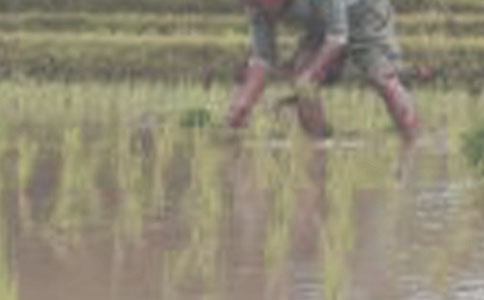 �P�ڲ��������ġ����x��