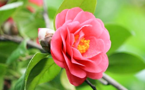 ɽ�軨����15ƪ���؂䡿