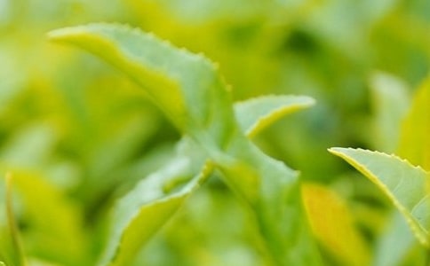 (�؂�)���~��ُ��ͬ