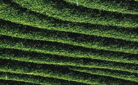 ʲô���~�m������~��