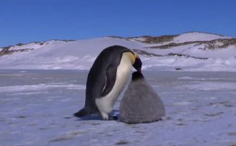 ����Խ�����Đۡ����x���