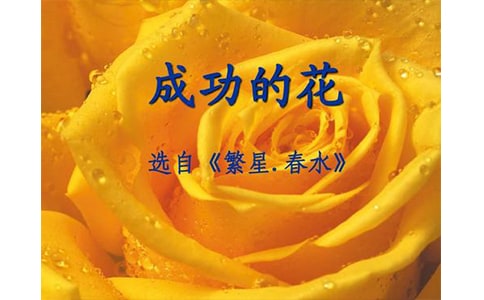 �ɹ��Ļ���x��