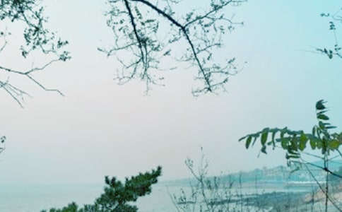 ����һ�괺�L(f��ng)������