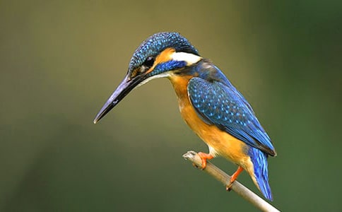 ���B�Ľ̰�