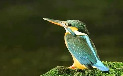 �����B�����_�n�̰�