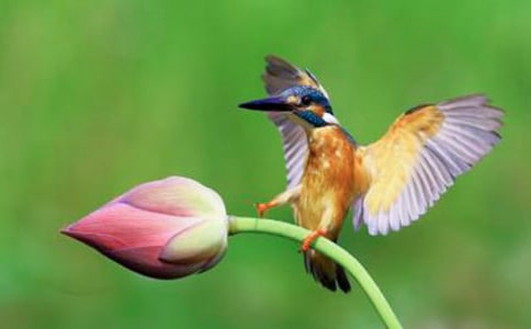 ���B��x���𰸅���