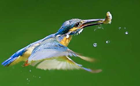 �����B����(y��u)�|(zh��)�n�̰�