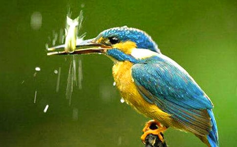 �P(gu��n)�ڡ����B�� �Ľ̰�