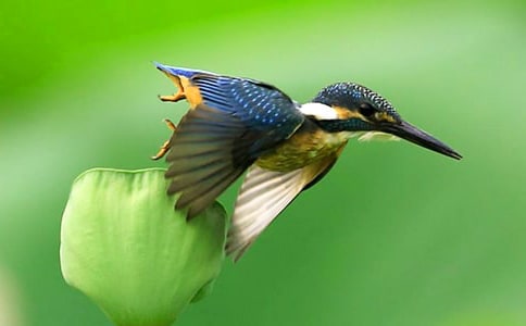 �����B���n�̽̌W��˼