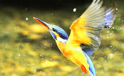 �����B���̌W��䛃�(y��u)��