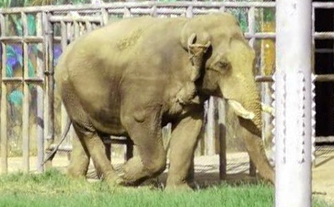 �������ӛ600�֣����x12ƪ��