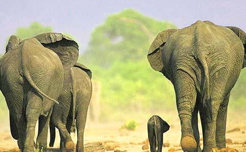 �T��������