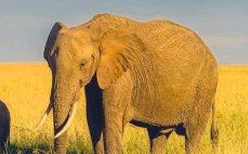 ����ͯԒ����400��(���T(m��n))