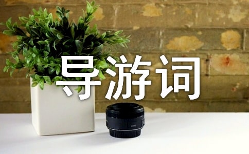 ���ӌ���匧(d��o)���~