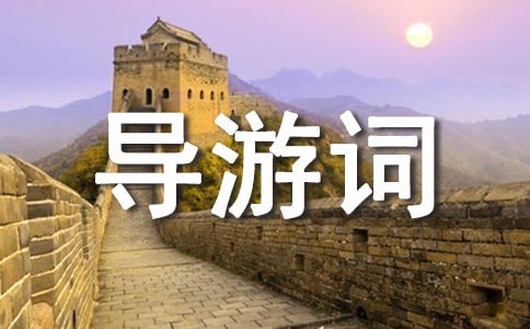 ���_(t��i)ɽ��(d��o)���~