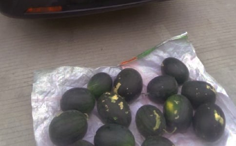 ��W(xu��)���[�ؔ�������`��淶��