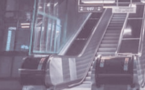�V���_(k��i)�Ŵ�W(xu��)���Ă�(g��)���Fվ