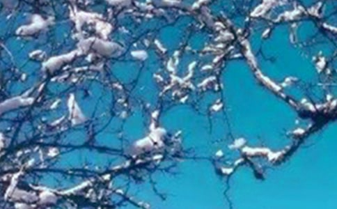 ���茑����ă�(y��u)������
