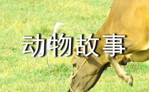�w���ͻ��������