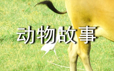 �����D������¼����x���Pӛ