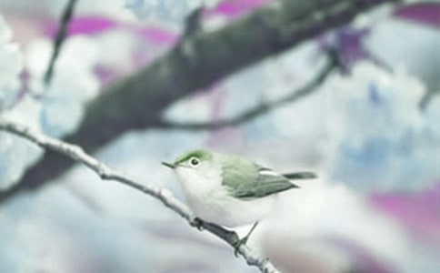 �L����ֲ�﹫�@��(d��o)���~