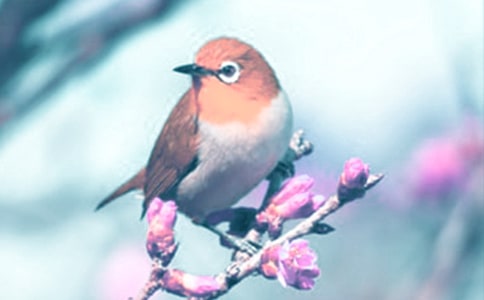 �P(gu��n)�ڡ���Ȥ�Ą�ֲ��̌W(xu��)�O(sh��)Ӌ(j��)