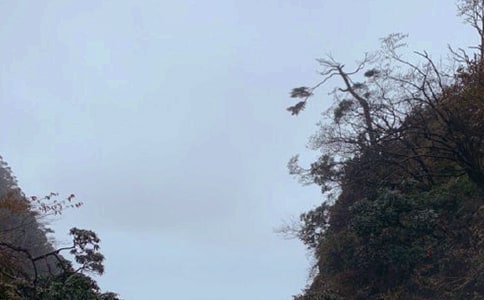 ��üɽ������