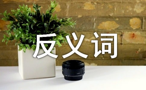 �ﷴ�x�~��ʲô��