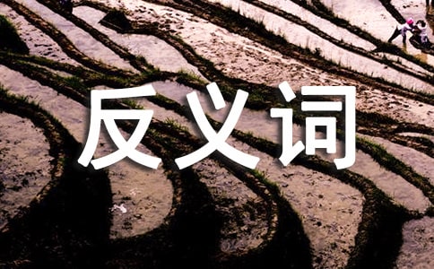 ��Ȼ����ķ��x�~