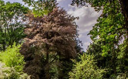 2025�꾫�x�L����(y��u)�����ӅR��70��