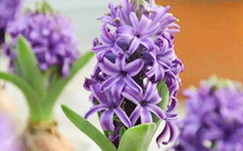 �L�������ă�(y��u)��(14ƪ)