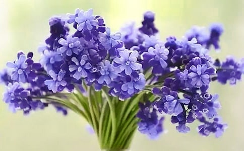 �L(f��ng)�������ġ��]��