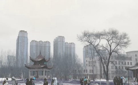 ��ͨ�ã����L(f��ng)ѩ����