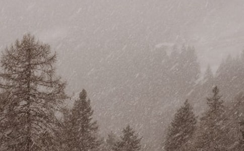 ���L(f��ng)ѩ���ąR����11ƪ��