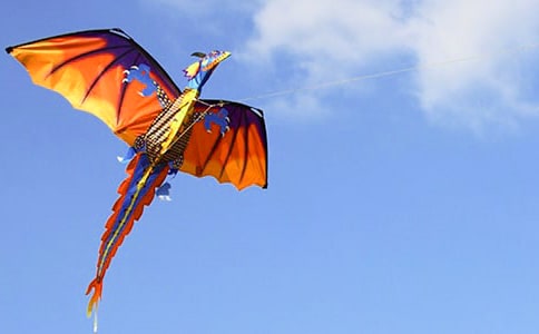 С�W(xu��)���L(f��ng)�~��(j��ng)�v��ӛ400�֣����x25ƪ��