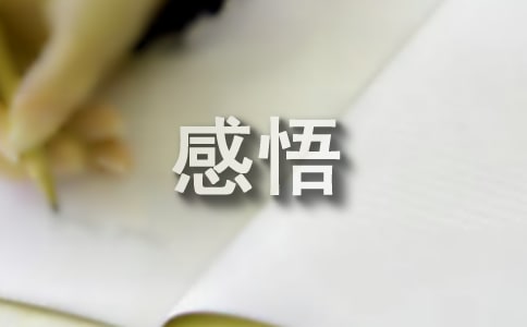 人生感悟哲理的文段